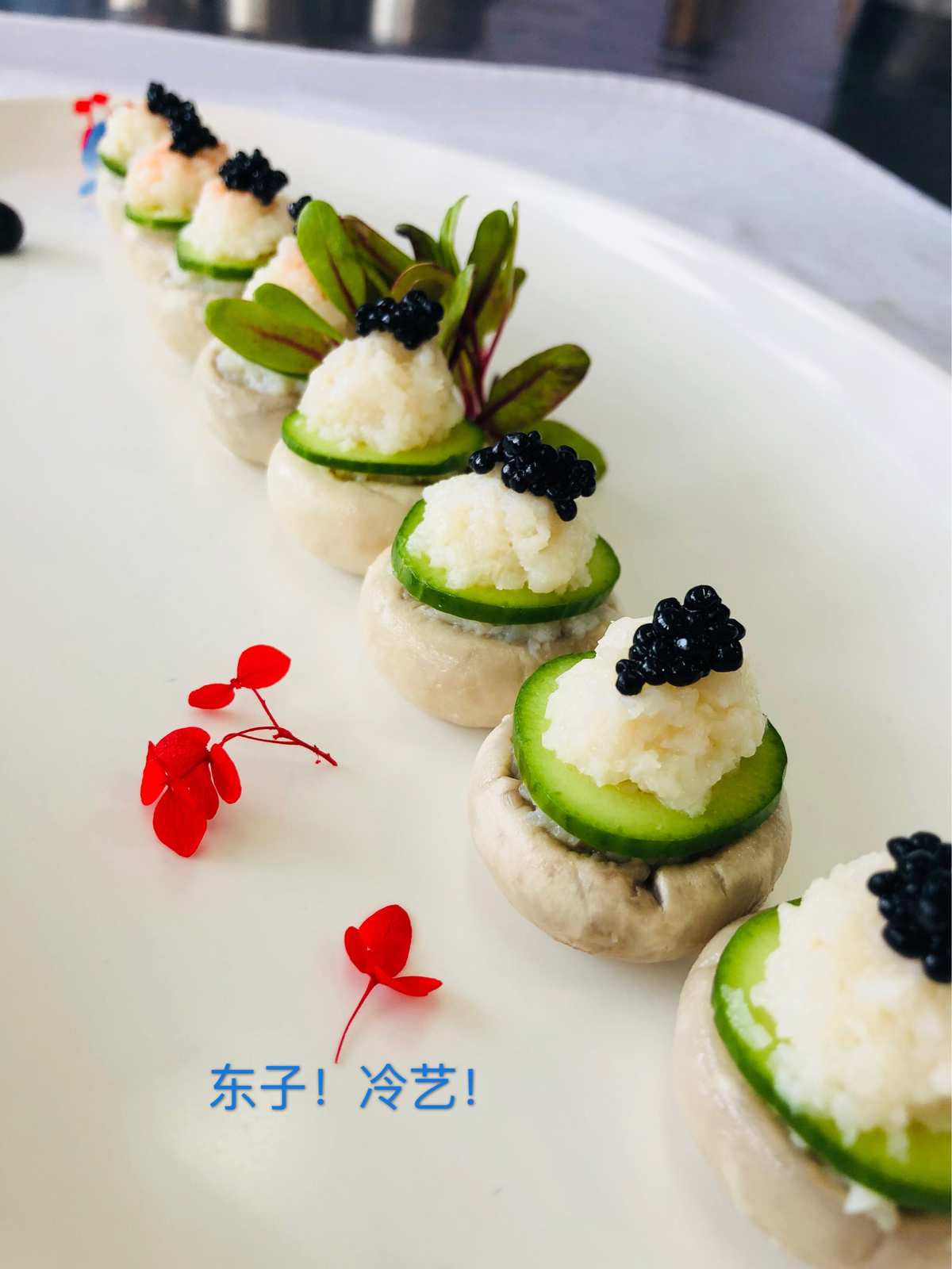 经营烹饪类手机游戏_好玩的经营烹饪类游戏_手机烹饪游戏经营