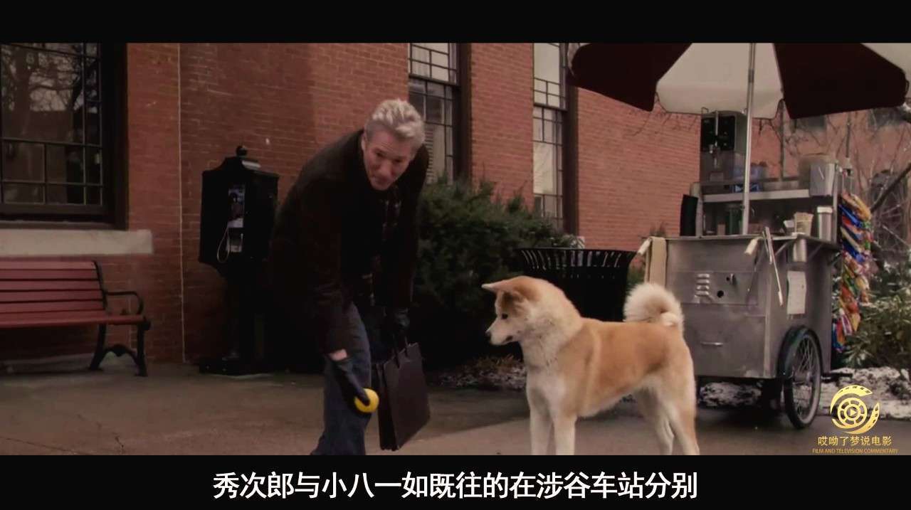 忠犬八公完整版国语版免费_忠犬八公在线看_忠犬八公免费完整版