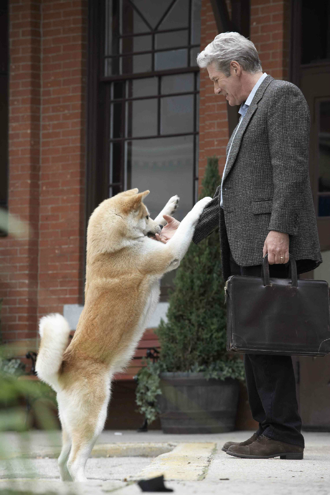 忠犬八公免费完整版_忠犬八公完整版国语版免费_忠犬八公在线看