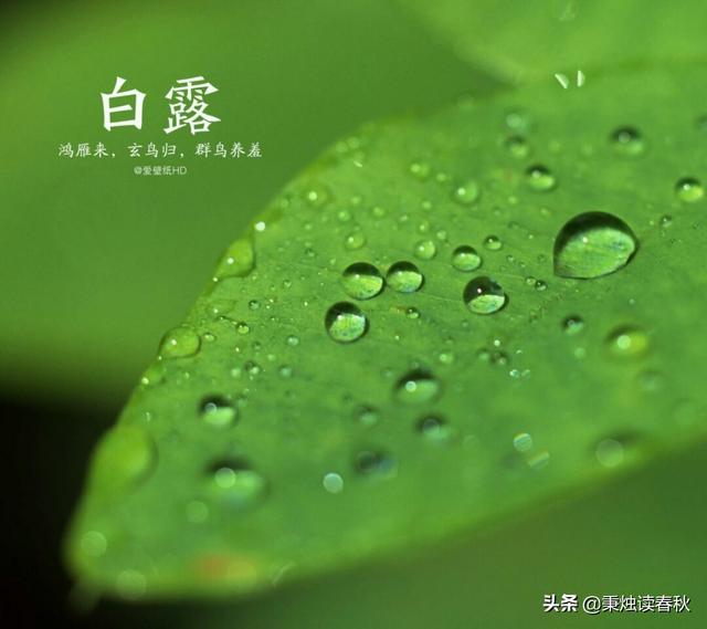 节气中的白露是什么意思_24节气中白露的含义_白露节气的含义是什么