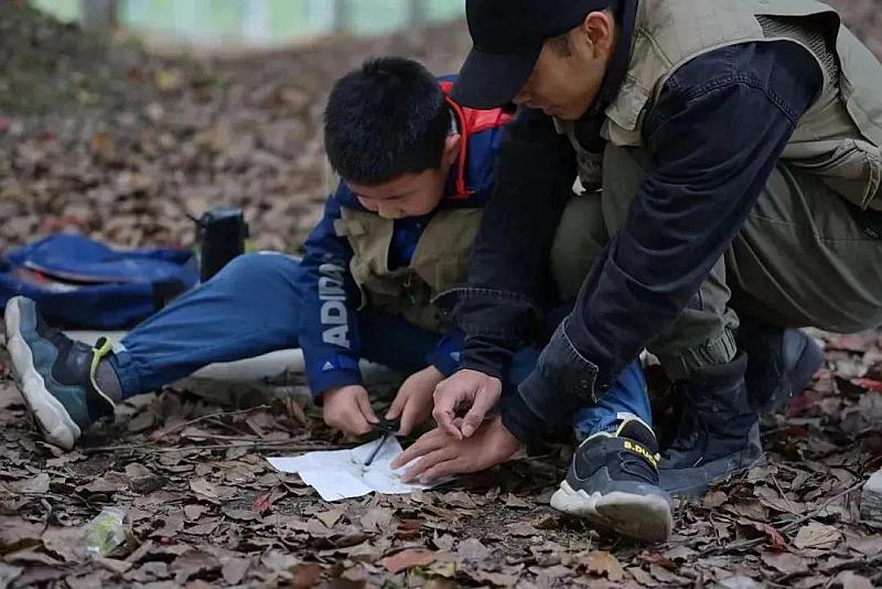 手机玩野外生存游戏下载_野外生存手机版_野外生存游戏手机游戏