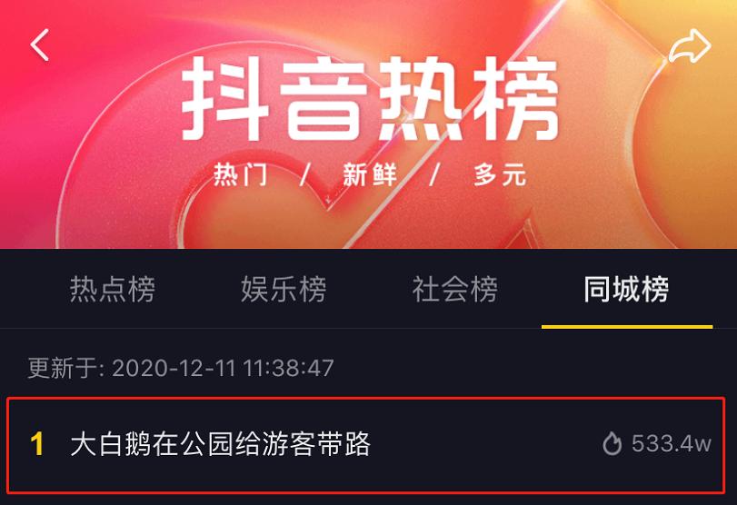 抖音发作品影响热门的视频吗_抖音发作品上热门是什么情况_抖音怎么发作品容易上热门
