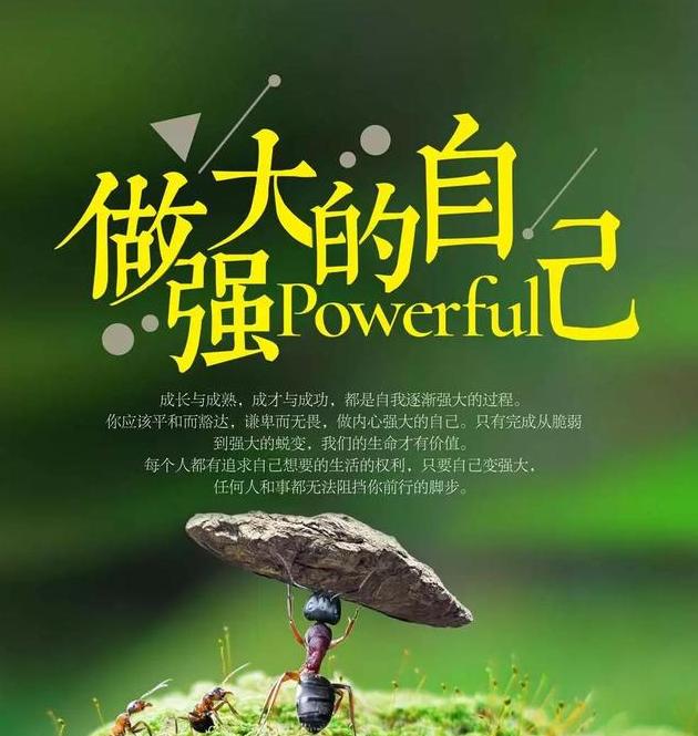 祖国人，努力奋斗，爱护环境，共创美好未来