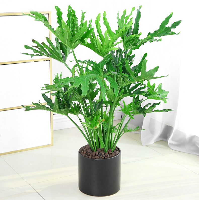 铃声种植手机游戏推荐_铃声种植手机游戏_种植游戏手机铃声