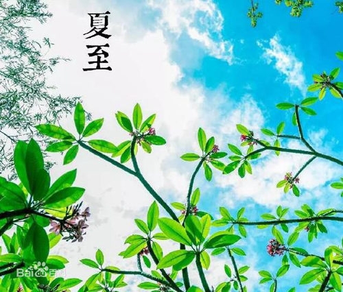 夏至日是什么月相_夏至是几月几日_夏至月是什么电视剧的人物