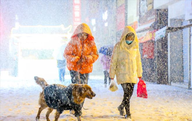 数九隆冬-冬季数九：寒冷中的生机与希望，农民收获冬季作物备战寒冬