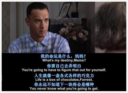阿甘正传免费观看中英字幕-感人至深的传奇故事：免费观看阿甘正传中英双语字幕让生命更有意义