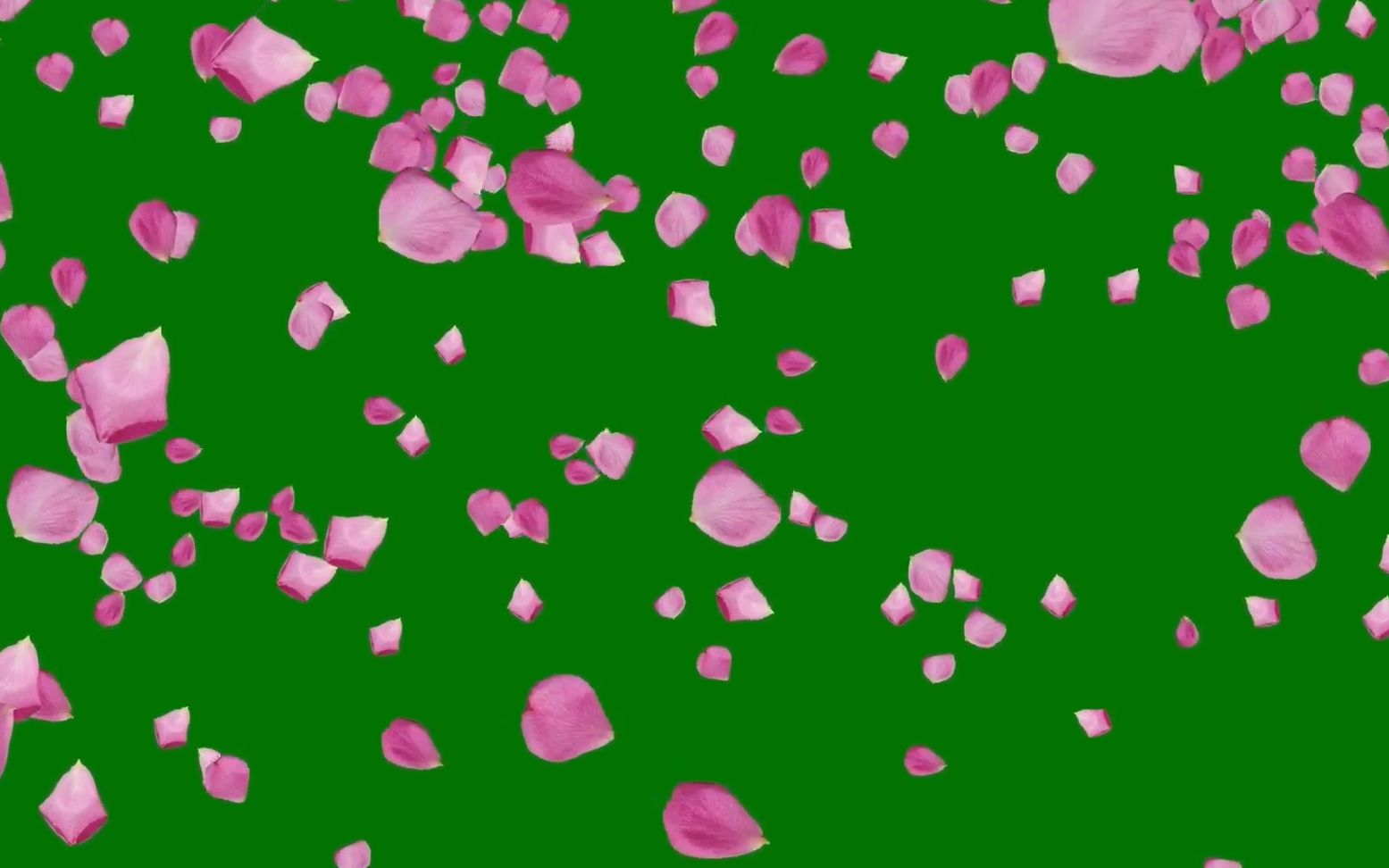 花瓣剪辑怎么剪视频_花瓣怎样剪视频_花瓣剪辑怎样剪辑视频时长