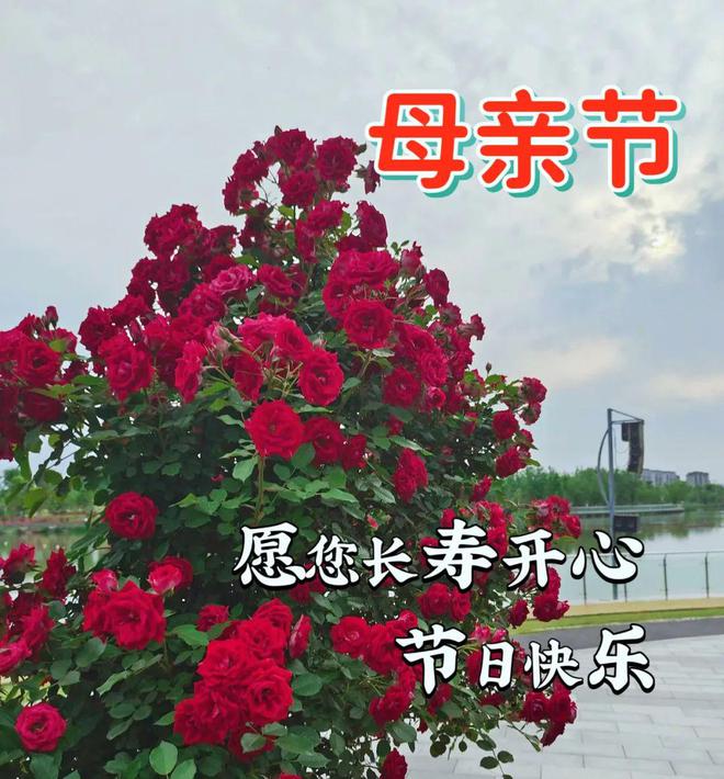 感恩节由来_感恩节来源简短_感恩节的由来起源简单简短介绍