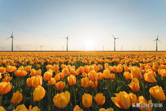 威龙逃学迅雷下载_逃学威龙免费高清观看_高清观看威龙免费逃学电影