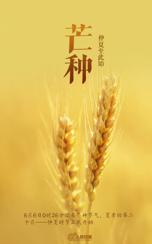 芒种是几月几号农历_芒种是几月几号2021年_芒种是几月几号