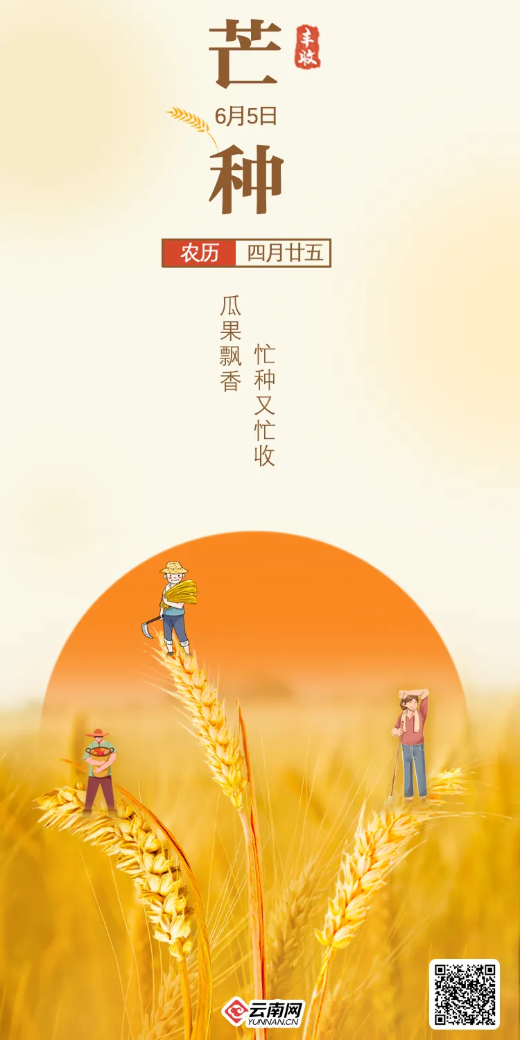 芒种是几月几号2021年_芒种是几月几号农历_芒种是几月几号