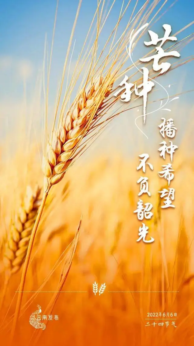 芒种是几月几号农历_芒种是几月几号2021年_芒种是几月几号