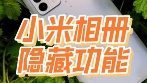 小米音响app-小米音响 App：简洁界面背后的爱恨交织与贴心功能