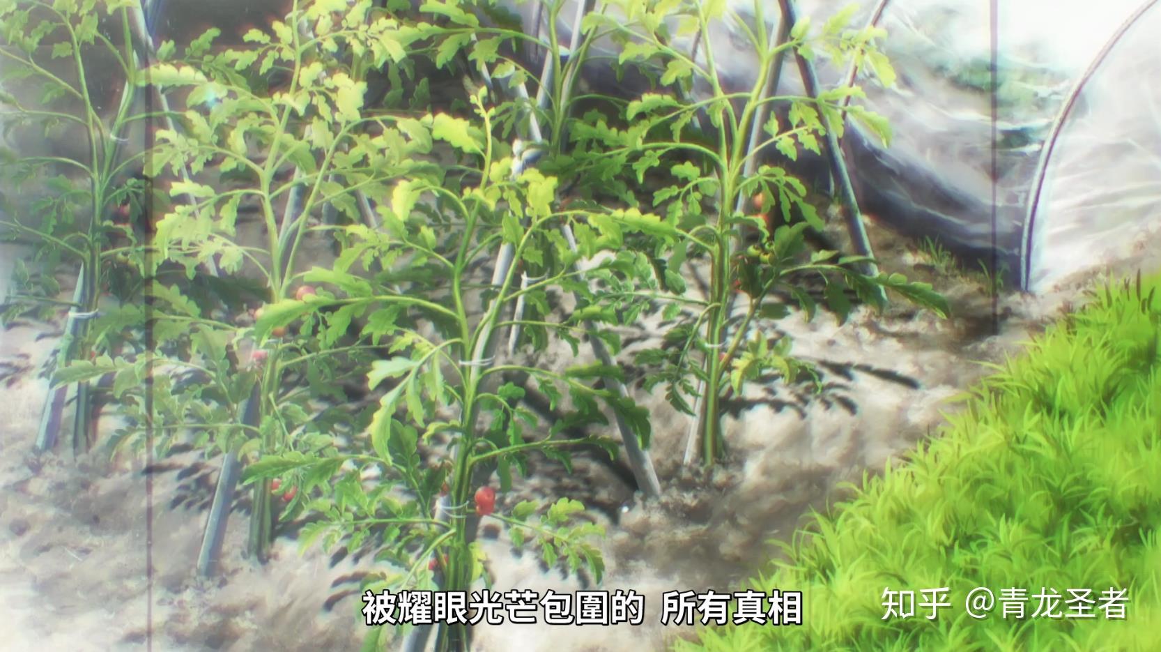鹰野摩托价格多少钱_鹰野三四_鹰野三四为什么要屠村
