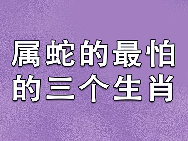 生肖猪的婚姻_猪婚姻命运属人还是属狗_属猪人的婚姻与命运