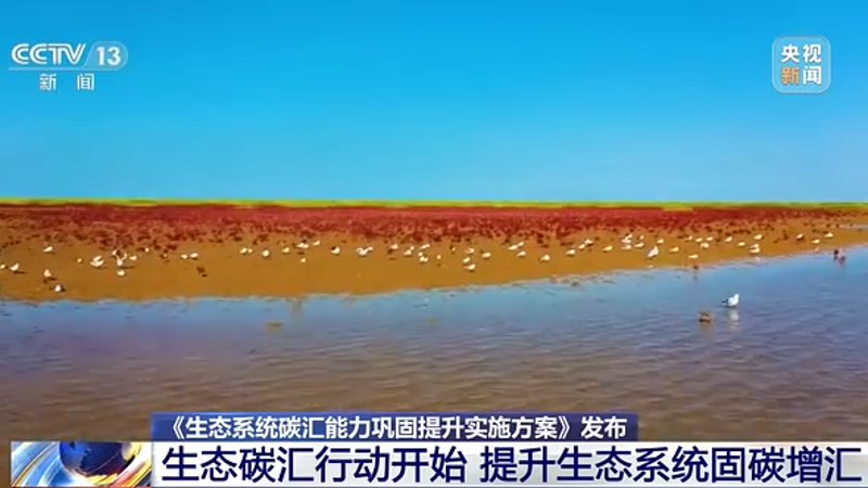 陆地生态系统_陆地生态系统与保护学报_陆地生态系统的主要类型