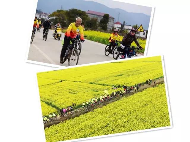 月年2023年_2015年10月12日_哪些年是闰月年