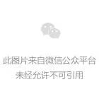 手机买断制游戏购买平台_买断游戏_手机上买断的游戏安全吗