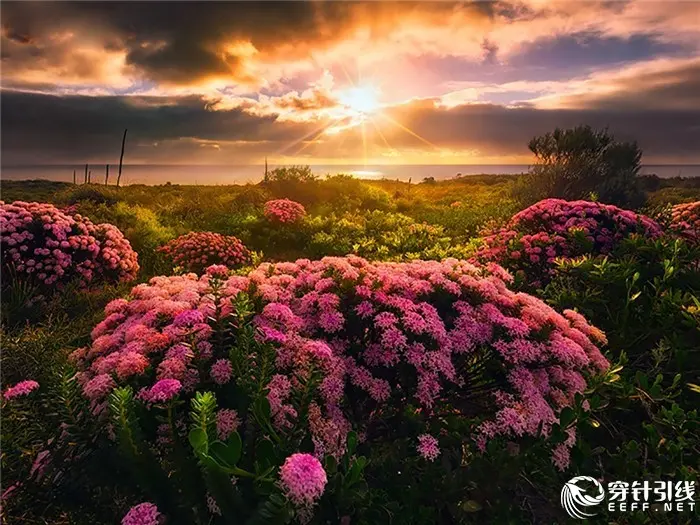 藏历年：多彩世界中的独特风景线，心灵深处的盛宴