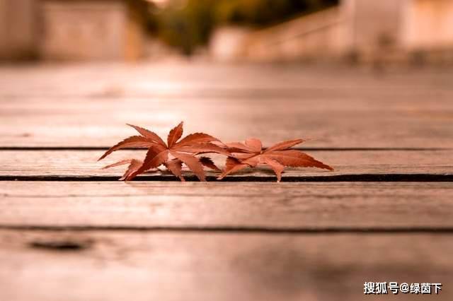 手机游戏怎么隐藏通知栏_隐藏游戏标题栏_隐藏通知栏的软件