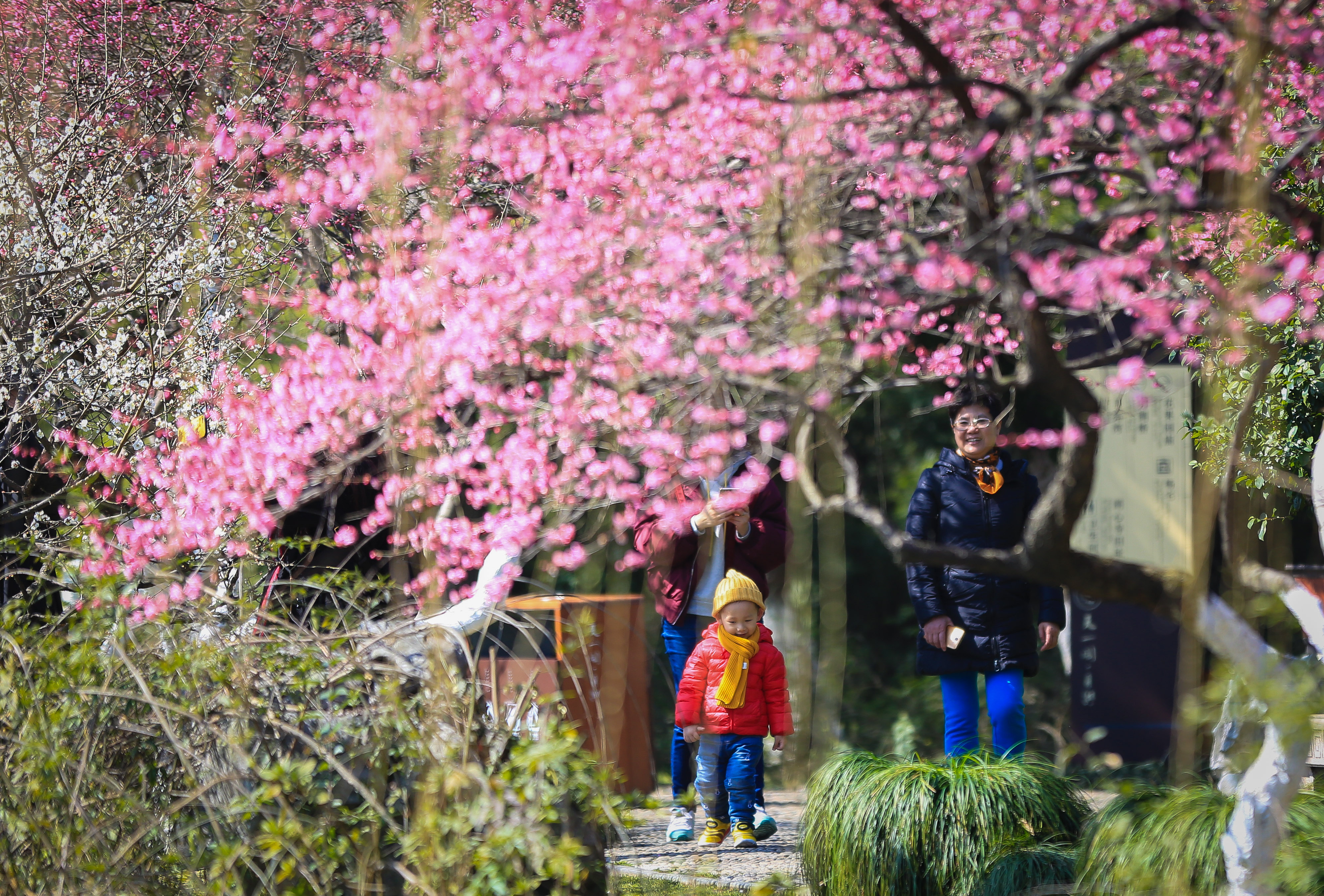 花园墙外_花园墙外图片_花园墙外中文版