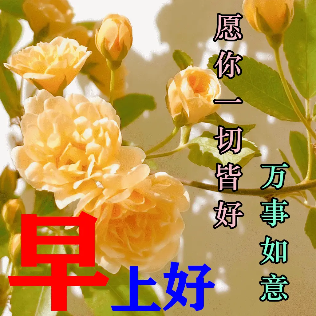 玛莎玛索女鞋加盟费多少钱_玛莎拉蒂_玛莎