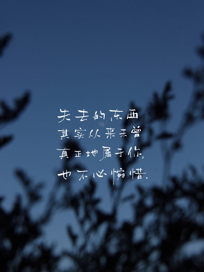 捷风：喧嚣世界中的宁静守护，带来心灵慰藉的自然现象