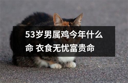 属鸡今年多大_今年属鸡多少岁呀_今年属鸡的多大