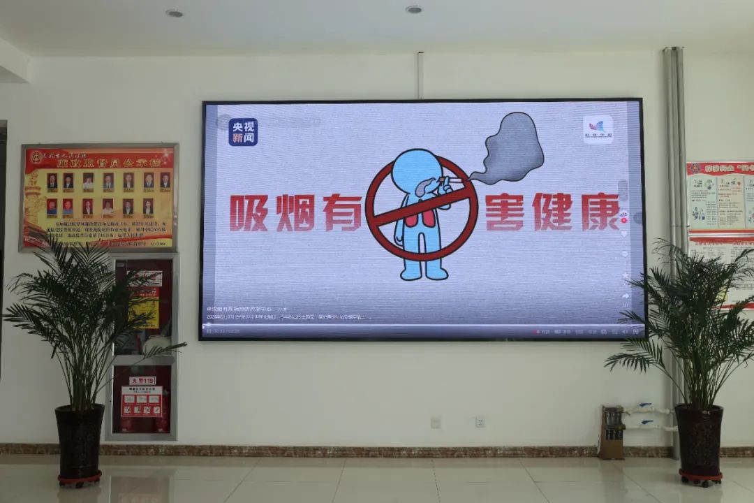 全世界戒烟成功率多少_世界戒烟日_世界上戒烟的国家是哪个国家