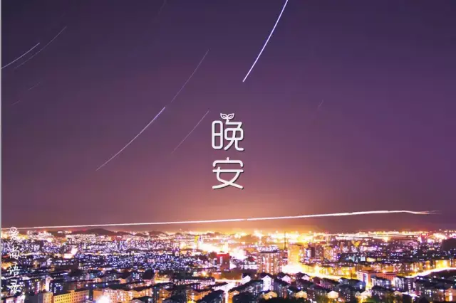 新井梓_新井梓_新井梓