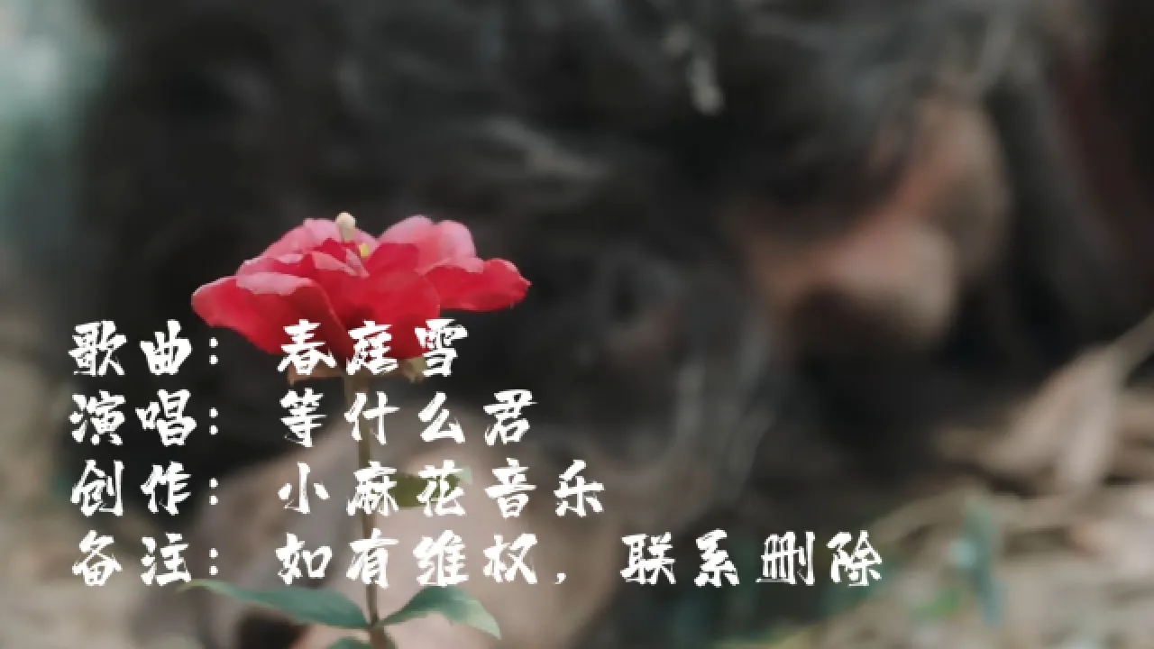 情侣古风手机游戏大全_手机情侣古风游戏_情侣古风手机游戏推荐