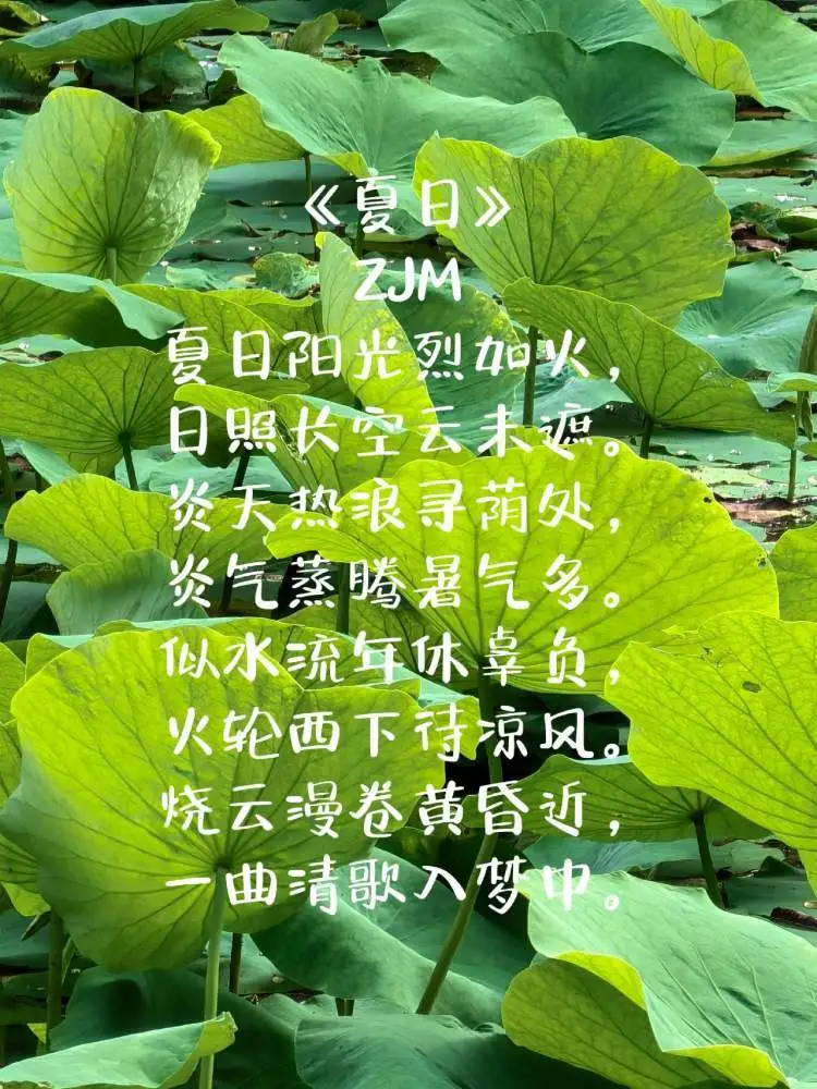 炎舞_炎舞天玑_炎舞什么意思