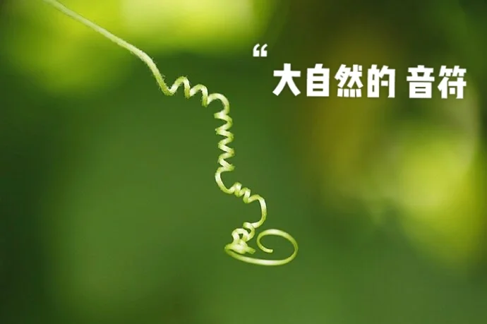 手机游戏内听声辩位模糊-手机游戏听声辩位模糊，让玩家抓狂的问题如何解决？