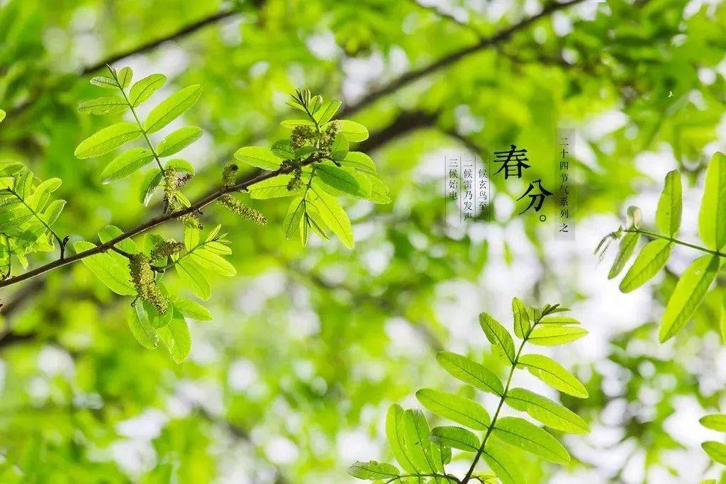 今日日子是吉日吗_今日日子是否吉利_今日是什么日子