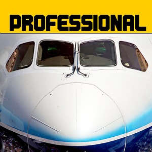 飞行模拟787道具免费版 飞行模拟787道具免费版
