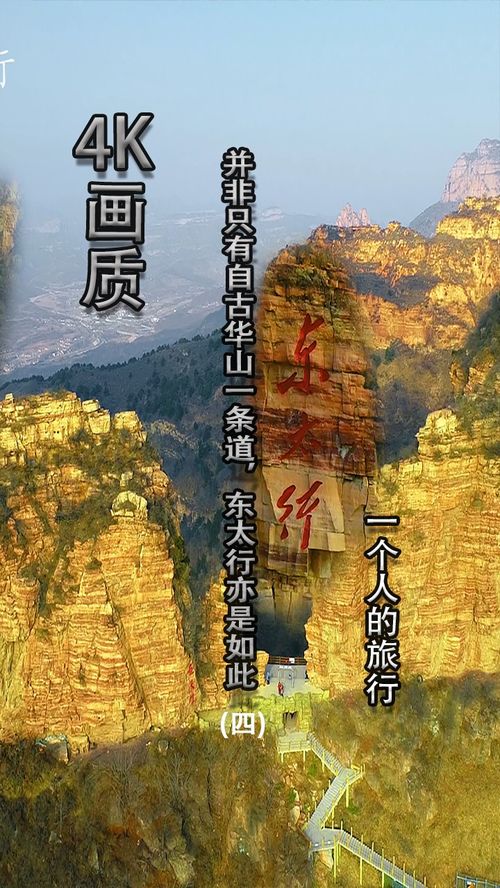 道奇派对3D 