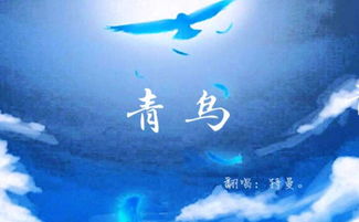 飞扬的小鸟中文版 飞扬的小鸟中文版