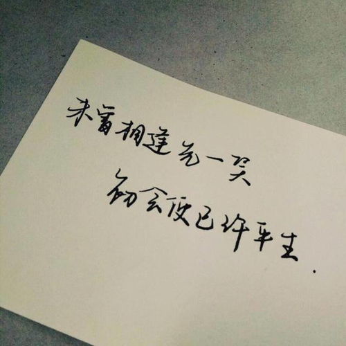 愿你三冬暖