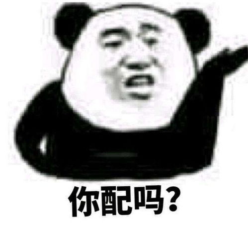 你配吗