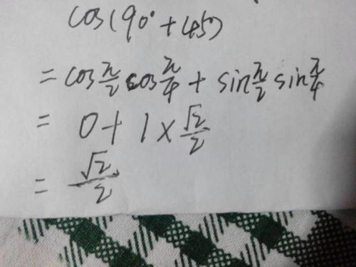 135编辑器手机版 