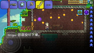 泰拉瑞亚存档编辑器 
