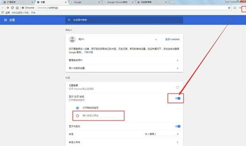 极速浏览器ios版 