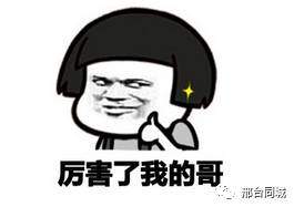 每天看看官网版下载 