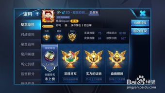 王者荣耀极光辅助 