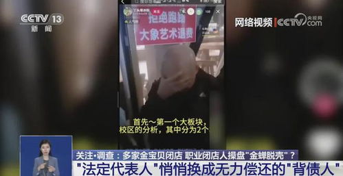 哔哩哔哩app在线视频观看 