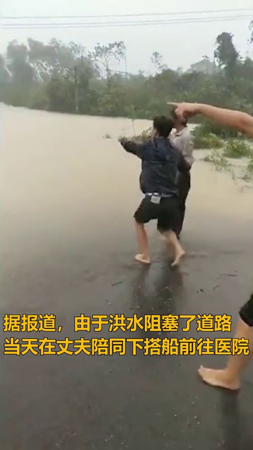 狼人侦探的妻子 