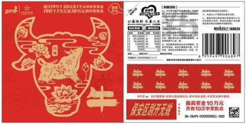 集票票pro 