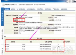 全国社保联网查询平台 