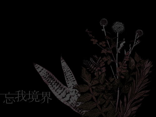 银河境界线 